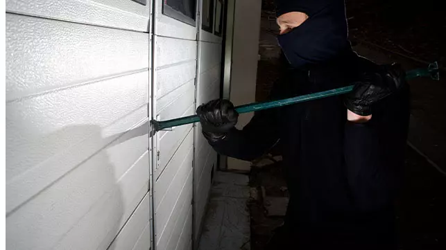 Oğurluq və vandalizm