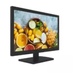 Hikvision DS-D5019QE-B