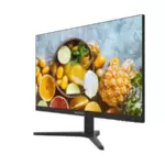 Hikvision DS-D5024F2-2P2