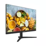 Hikvision DS-D5024F2-2P2