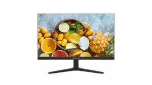 Hikvision DS-D5024F2-2P2