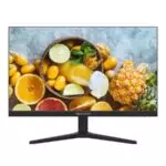 Hikvision DS-D5024F2-2V2