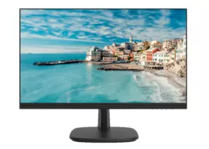 Hikvision DS-D5024FN-B