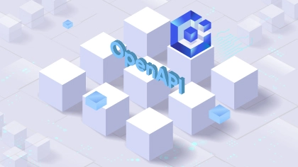 HikCentral Connect OpenAPI